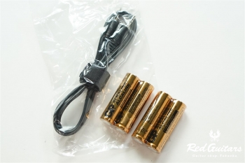VE-5 Vocal Performer